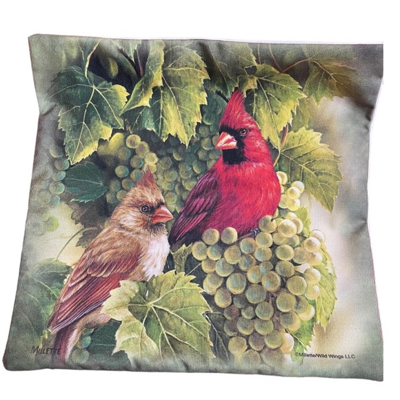 Danbury Mint Other - Danbury Mint Cardinals Accent Pillow Cover Sz 14.5